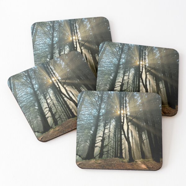 Item preview, Trees in the Mist at Cape Sebastian in Southern Oregon designed and sold by Trevor and Photos.