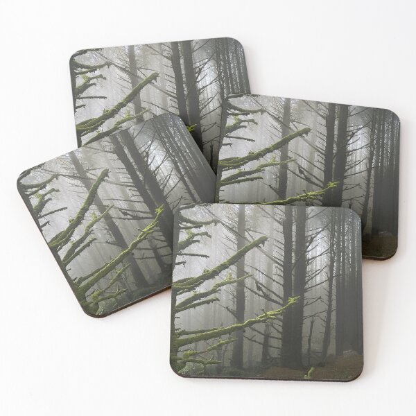Item preview, Trees in the Mist at Cape Sebastian in Southern Oregon designed and sold by Trevor and Photos.