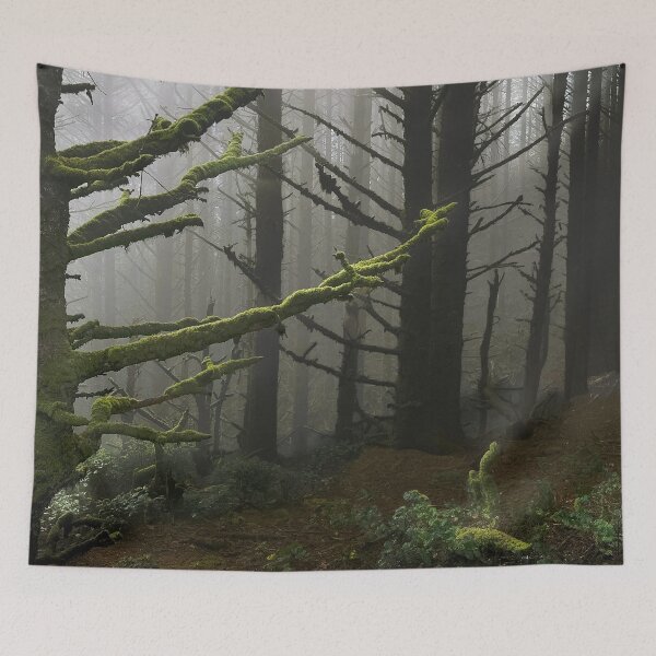 Item preview, Trees in the Mist at Cape Sebastian in Southern Oregon designed and sold by Trevor and Photos.