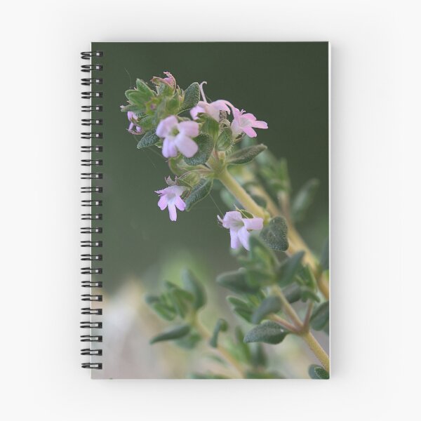 Item preview, Tiny Thyme designed and sold by Paul Pasco.