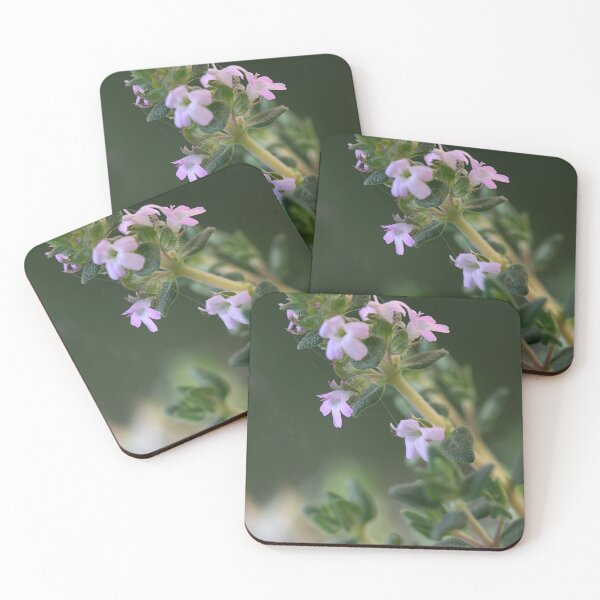 Item preview, Tiny Thyme designed and sold by Paul Pasco.