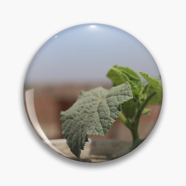 Item preview, Picture of cucumber growing beautifully designed and sold by diaaphotography.