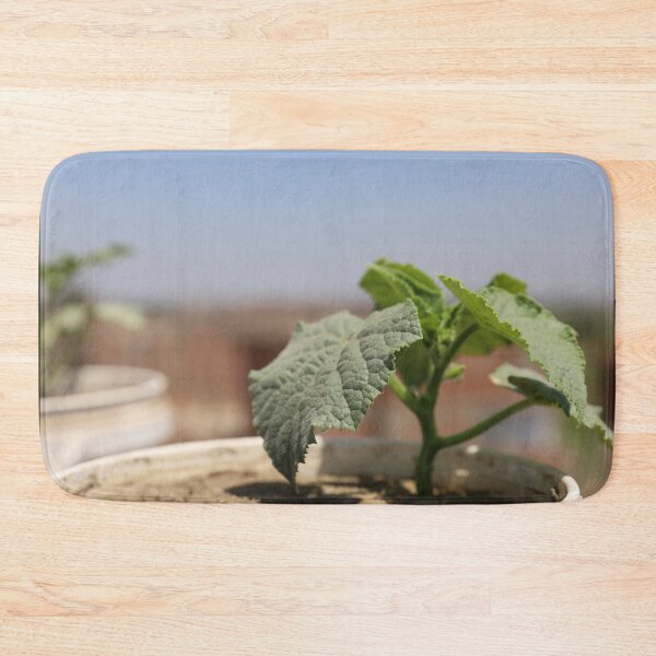 Item preview, Picture of cucumber growing beautifully designed and sold by diaaphotography.