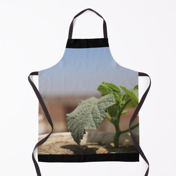 Item preview, Picture of cucumber growing beautifully designed and sold by diaaphotography.