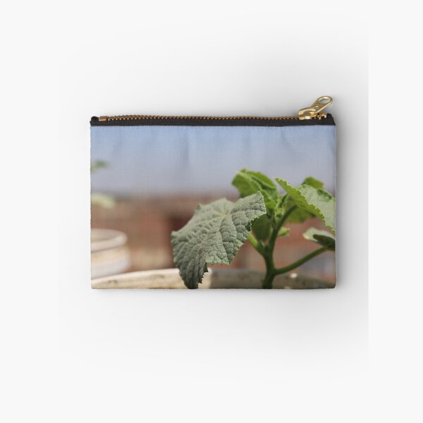 Item preview, Picture of cucumber growing beautifully designed and sold by diaaphotography.