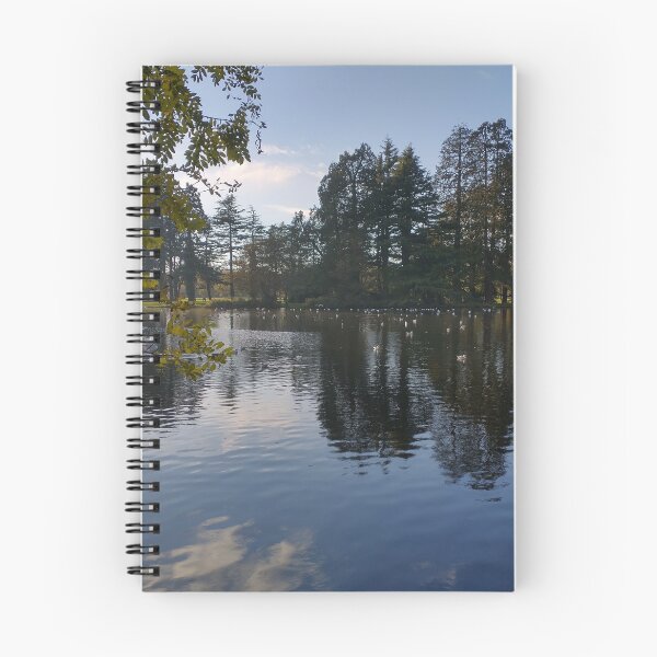 Item preview, Reflected Stillness designed and sold by alexhollphoto.