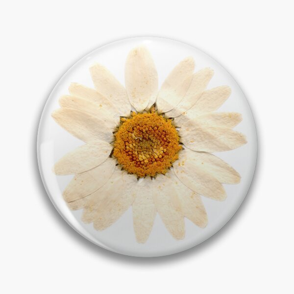 Item preview, Pressed Dried Daisies Sticker Pack designed and sold by AnimaliaStar.