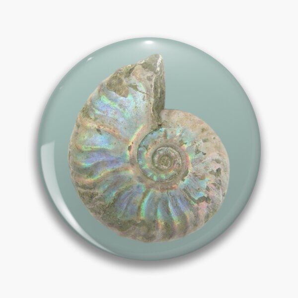 Item preview, ammonite fossil designed and sold by ---clara---.