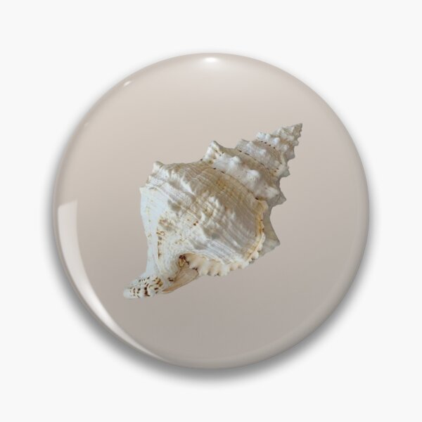 Item preview, Conch designed and sold by ---clara---.