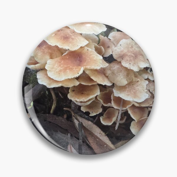 Item preview, Tasmanian Forest Fungi designed and sold by SeaWitchStudio.