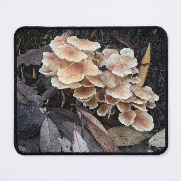 Item preview, Tasmanian Forest Fungi designed and sold by SeaWitchStudio.