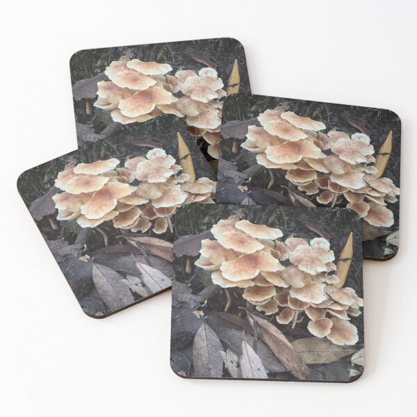Item preview, Tasmanian Forest Fungi designed and sold by SeaWitchStudio.