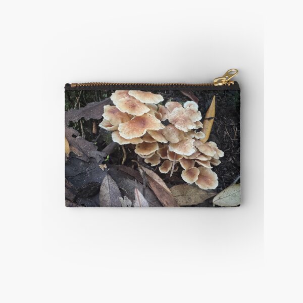 Item preview, Tasmanian Forest Fungi designed and sold by SeaWitchStudio.
