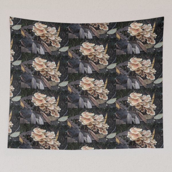 Item preview, Tasmanian Forest Fungi designed and sold by SeaWitchStudio.