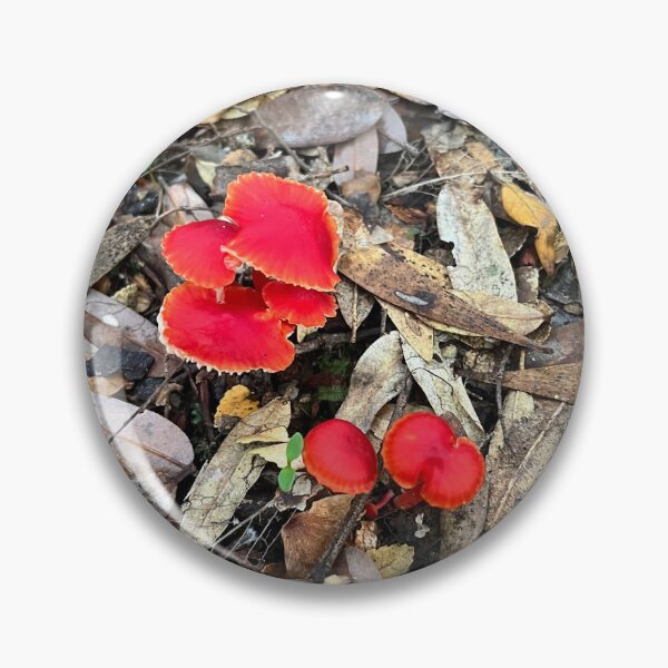 Item preview, Tasmanian Red Forest Fungi designed and sold by SeaWitchStudio.