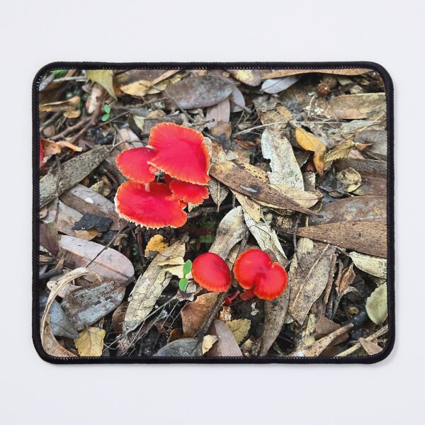 Item preview, Tasmanian Red Forest Fungi designed and sold by SeaWitchStudio.