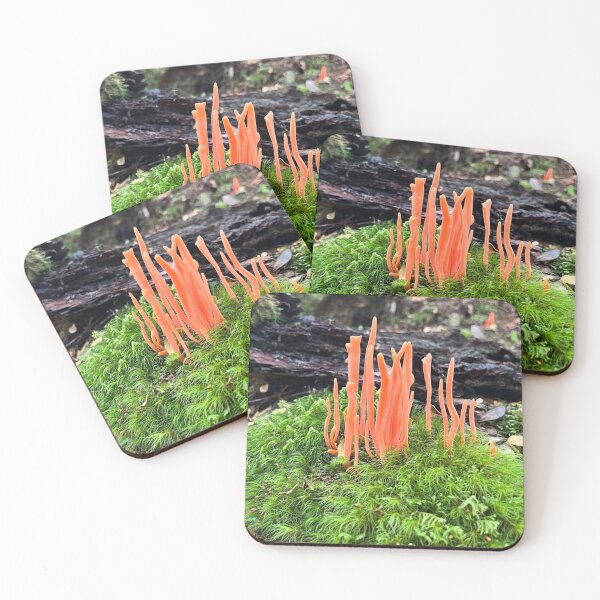 Item preview, Orange Finger Fungi designed and sold by SeaWitchStudio.