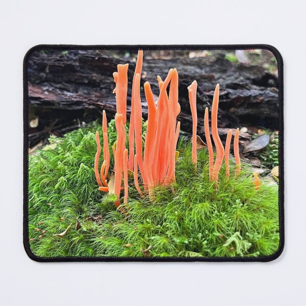 Item preview, Orange Finger Fungi designed and sold by SeaWitchStudio.