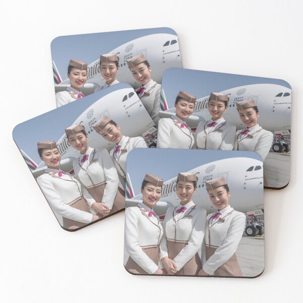 Item preview, Hospitality in Motion designed and sold by Skyframe Aviation.