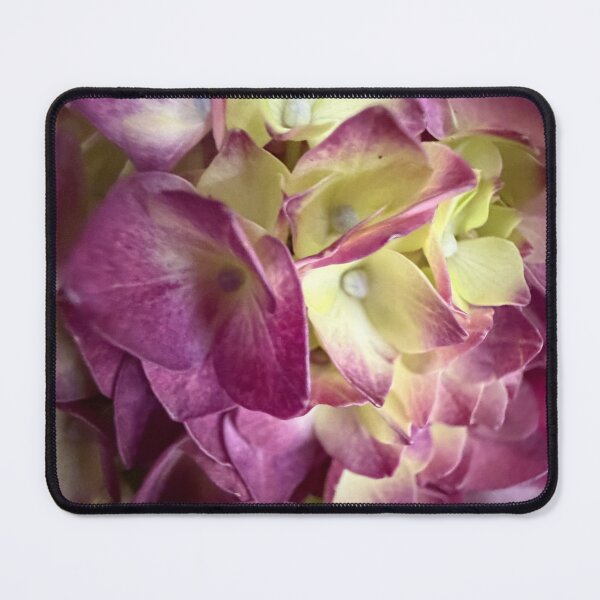 Item preview, Hydrangea Magic designed and sold by Betsy Phillips.