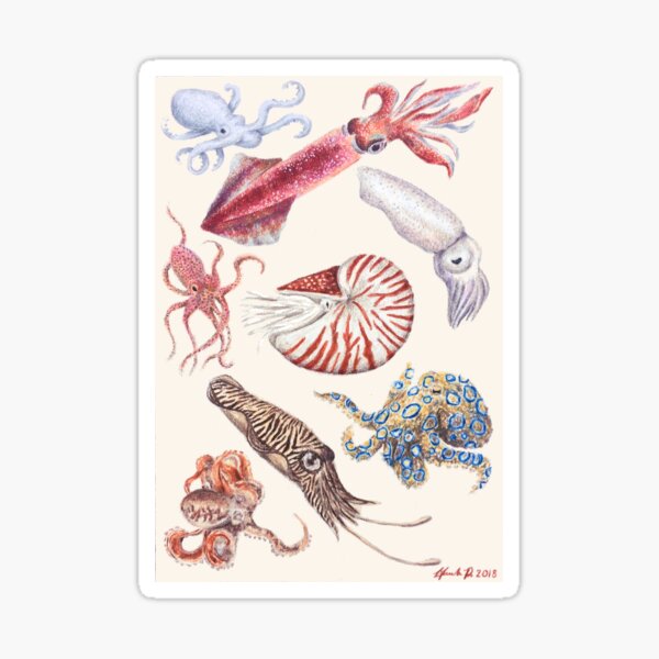 Item preview, Cephalopods designed and sold by PugNpearl.