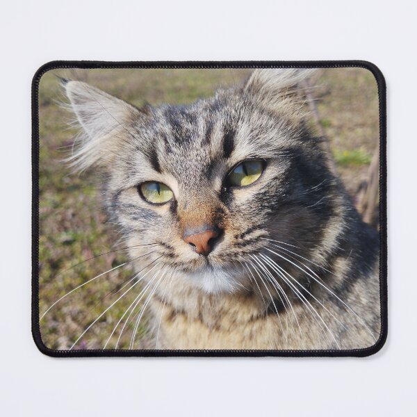 Item preview, Green-Eyed Tabby Cat Portrait designed and sold by inspiration3.