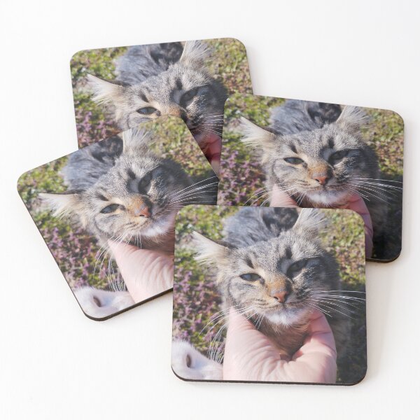 Item preview, Fluffy Striped Kitten Close-Up designed and sold by inspiration3.