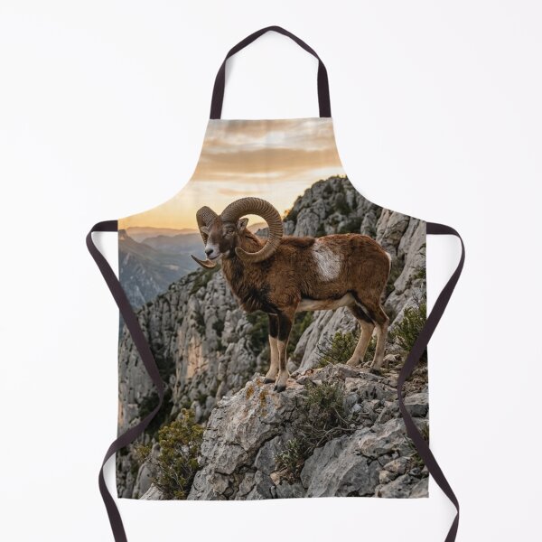 Item preview, Mouflon on a rocky cliff designed and sold by Malisa345.