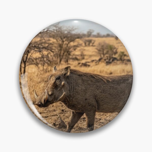 Item preview, Warthog in the dry savannah designed and sold by Malisa345.