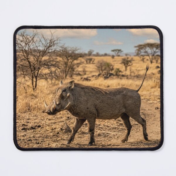 Item preview, Warthog in the dry savannah designed and sold by Malisa345.