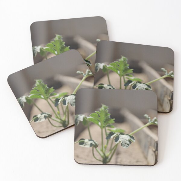 Item preview, Watermelon leaves draw beautiful nature designed and sold by diaaphotography.