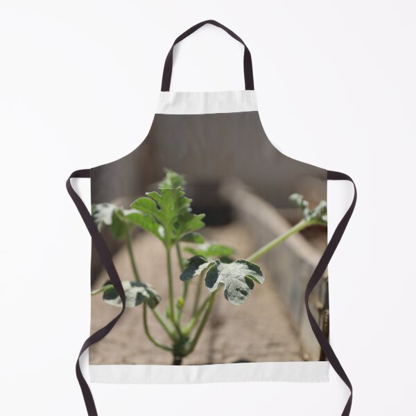 Item preview, Watermelon leaves draw beautiful nature designed and sold by diaaphotography.
