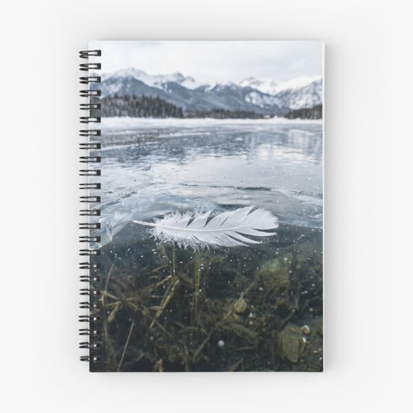 Item preview, Feather frozen in a transparent frozen lake designed and sold by Malisa345.