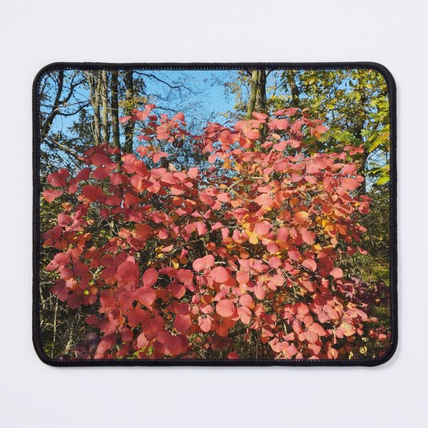 Item preview, Autumn Red Leaf Shrub designed and sold by inspiration3.