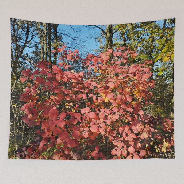 Item preview, Autumn Red Leaf Shrub designed and sold by inspiration3.