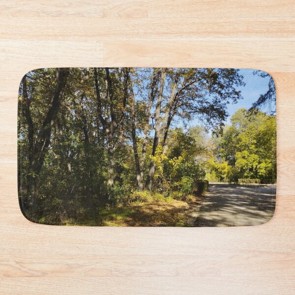 Item preview, Beautiful Autumn View from the Park designed and sold by inspiration3.
