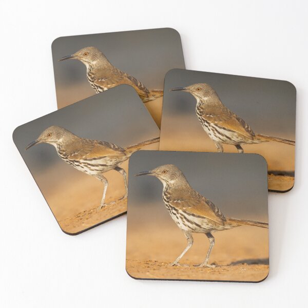 Item preview, Long-billed Thrasher on Sandy Ground designed and sold by Gerard Fornarotto.