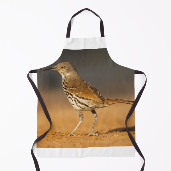 Item preview, Long-billed Thrasher on Sandy Ground designed and sold by Gerard Fornarotto.