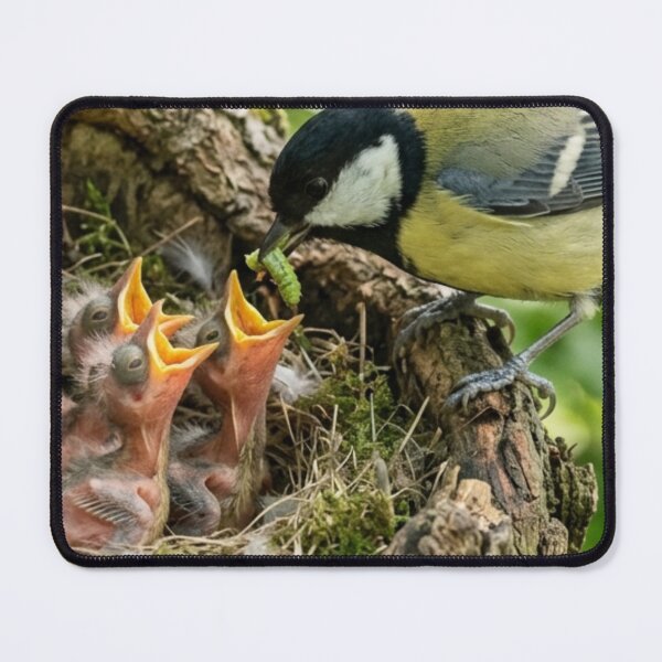 Item preview, Bird feeding its young in the nest designed and sold by Malisa345.