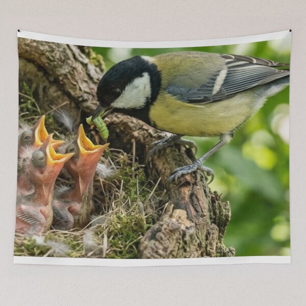 Item preview, Bird feeding its young in the nest designed and sold by Malisa345.