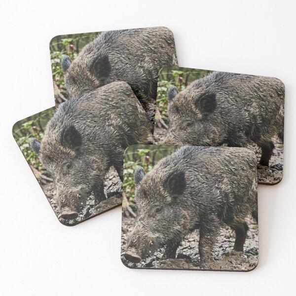 Item preview, Wild boar rooting in muddy soil designed and sold by Malisa345.