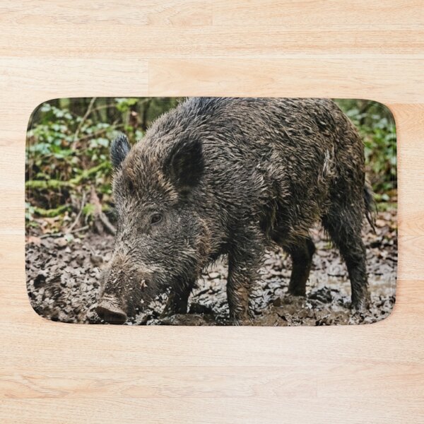 Item preview, Wild boar rooting in muddy soil designed and sold by Malisa345.