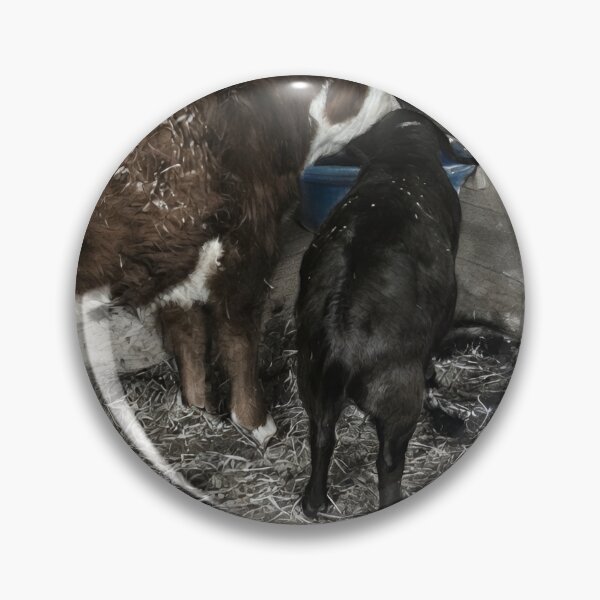 Item preview, Barn Friends - Original Charcoal Cow and Goat with Real Gold Leaf designed and sold by CiaraCharcoal.