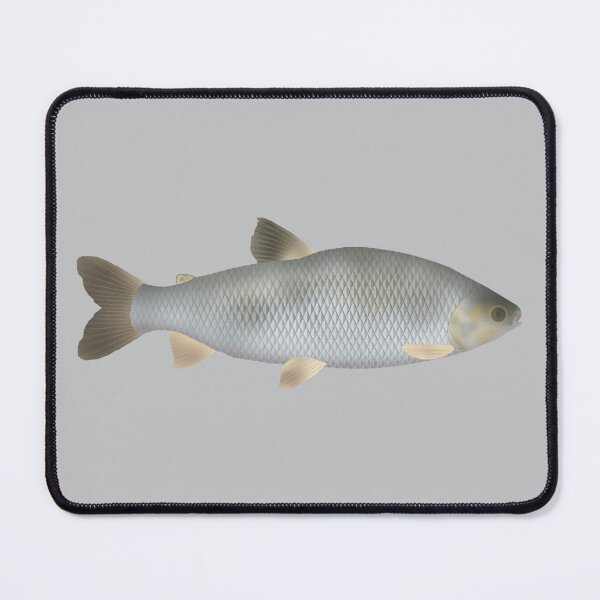 Item preview, Boga designed and sold by fishfolkart.