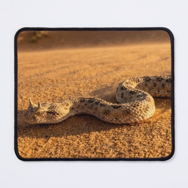 Item preview, Snake crossing the hot sand designed and sold by Malisa345.