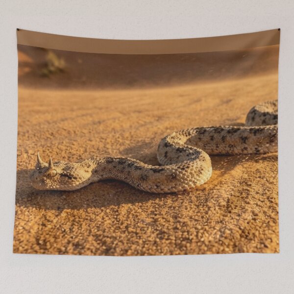 Item preview, Snake crossing the hot sand designed and sold by Malisa345.