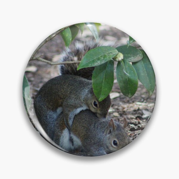 Item preview, Squirrels Mating designed and sold by Cynthia48.