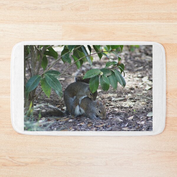 Item preview, Squirrels Mating designed and sold by Cynthia48.