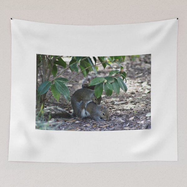 Item preview, Squirrels Mating designed and sold by Cynthia48.