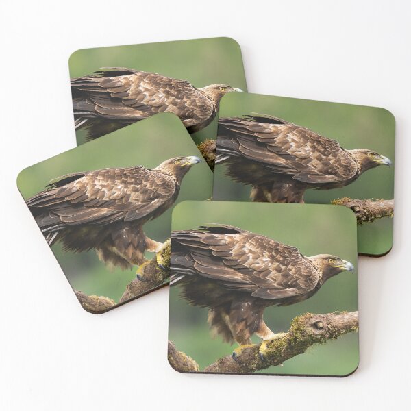 Item preview, Golden Eagle, Izco, Navarra, Spain designed and sold by AndrewJonesFoto.